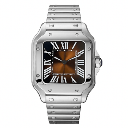 SANTOS MOD BROWN DIAL by Mein Shop – ModTime